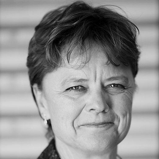 Liesbeth Oudesluijs (associate)
